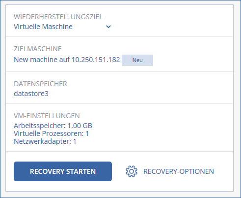 Eine virtuelle Maschine als Recovery-Ziel