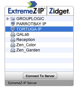 Configuring Zidget Mounting Volumes