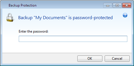 password protection window 150