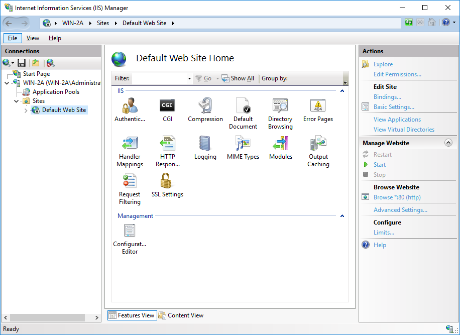 Linked JPEG File Template MT